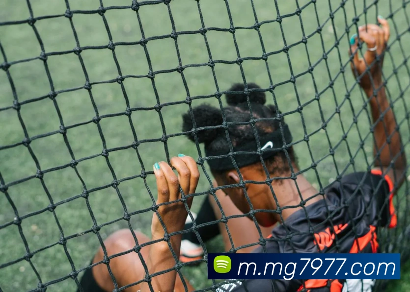 MG娱乐平台官网发展历程